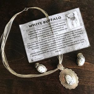 Vintage Navajo White Buffalo Sterling Silver Set